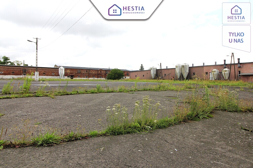 Na sprzedaż: nieruchomość gruntowa zabudowana (6)