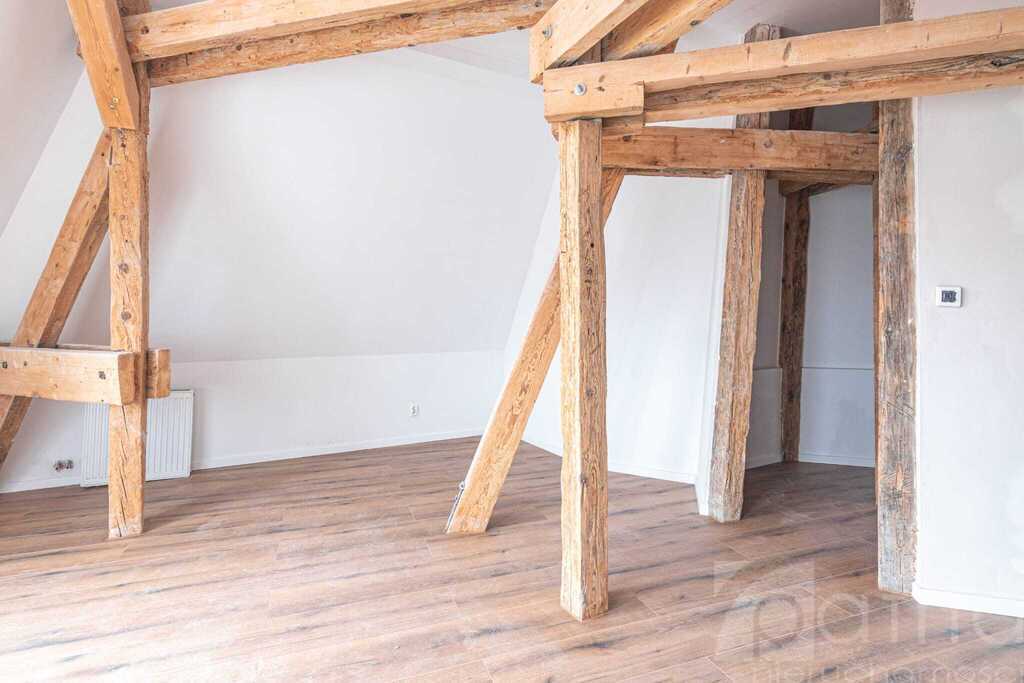 Klimatyczne 3 pokojowe w ścisłym centrum (5)