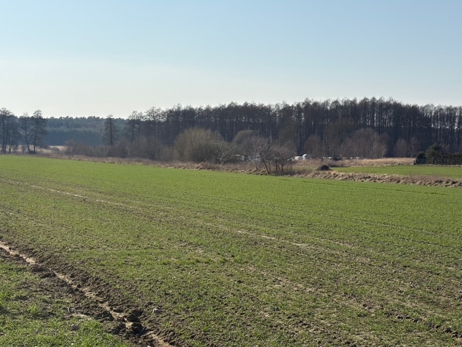 DUŻA DZIAŁKA Z WIDOKIEM NA POLA I WARUNKAMI. (7)