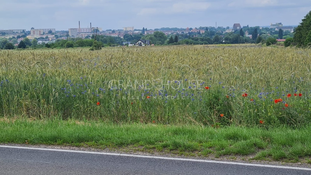 Działki Budowlane Stargard (3)