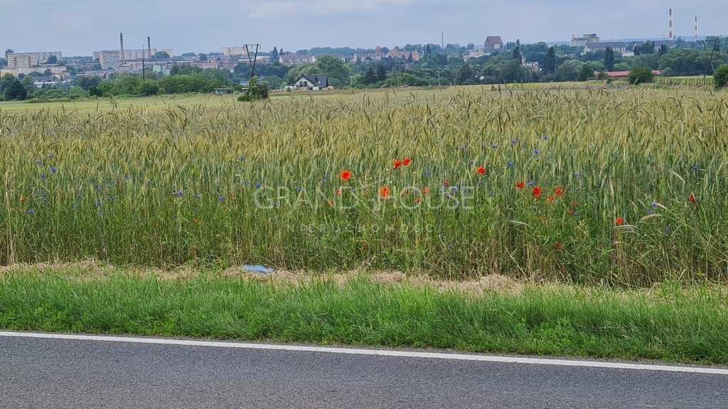 Działki Budowlane Stargard (4)