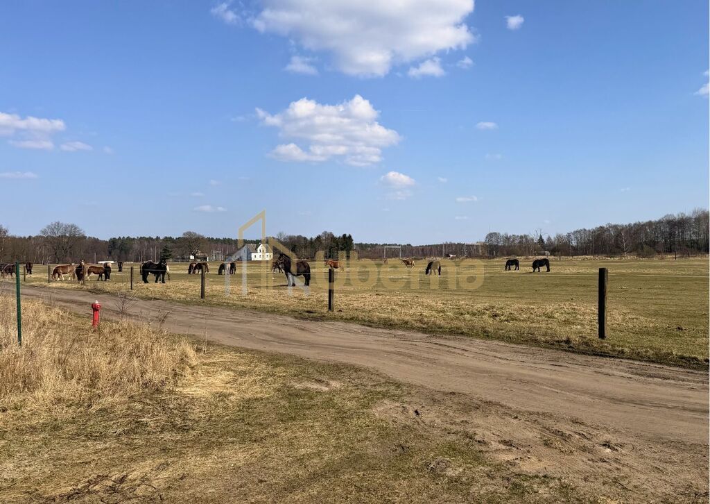 Działka 1506 m2 Białuń, ul. Jarzębinowa - MPZP (7)