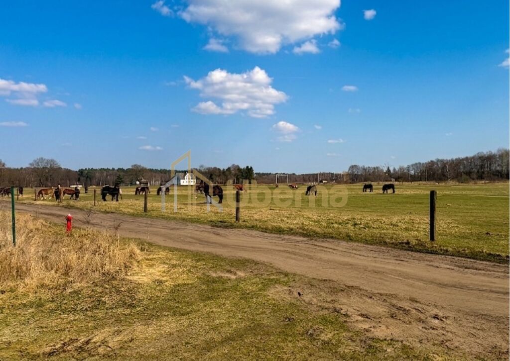 Działka 1506 m2 Białuń, ul. Jarzębinowa - MPZP (8)