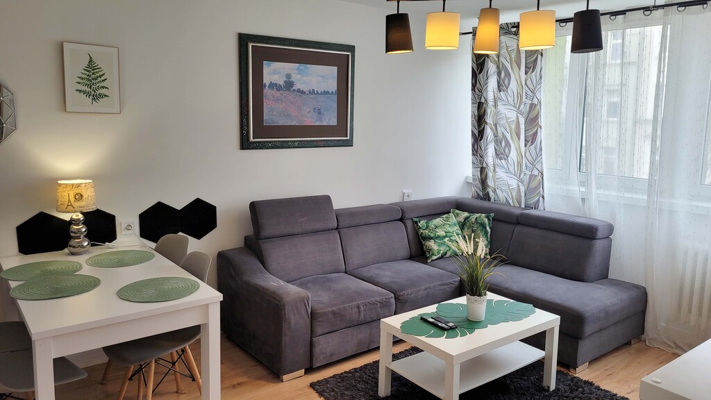 Mieszkanie 3 pokojowe z balkonem w centrum (6)