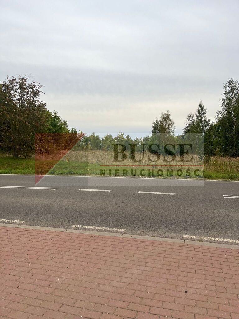 Piękna działka w miejscowści ińsko 18.033 m2 (2)