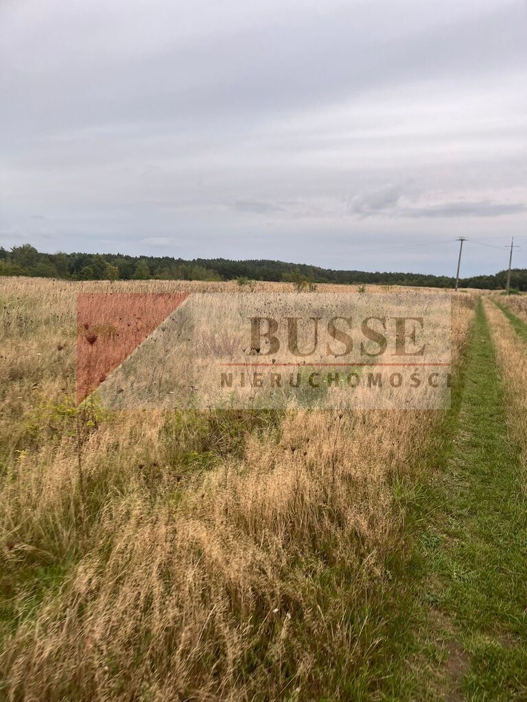 Piękna działka w miejscowści ińsko 18.033 m2 (3)