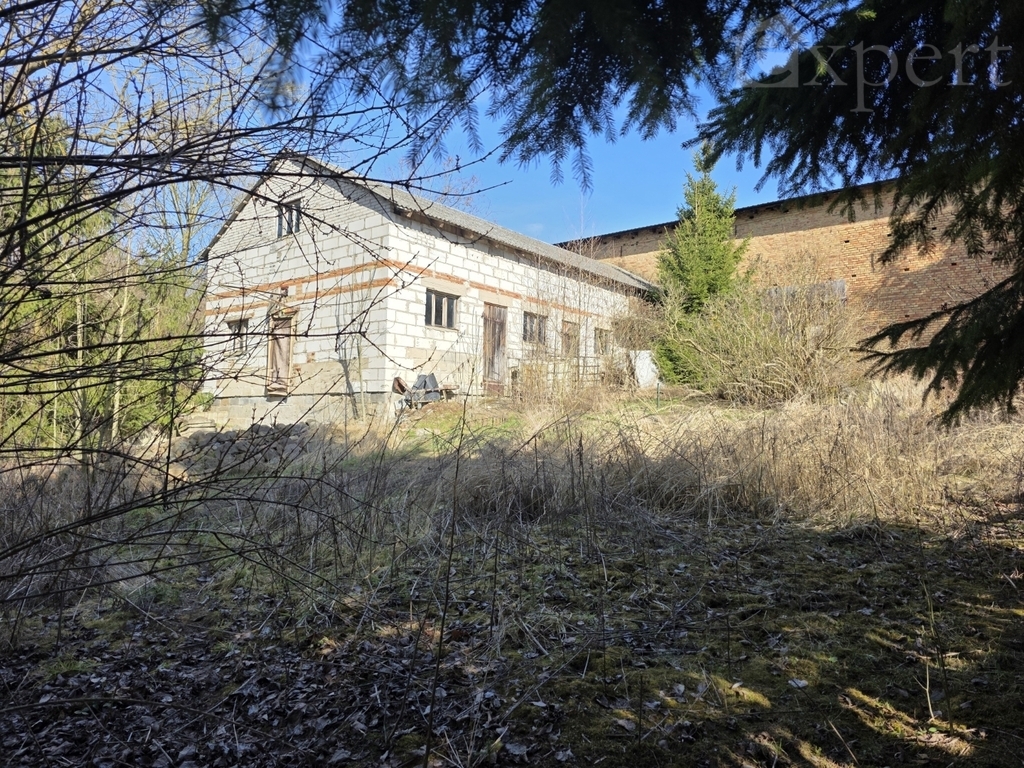 Nowe Chrapowo - dom z zabudowaniami gospodarczymi (10)