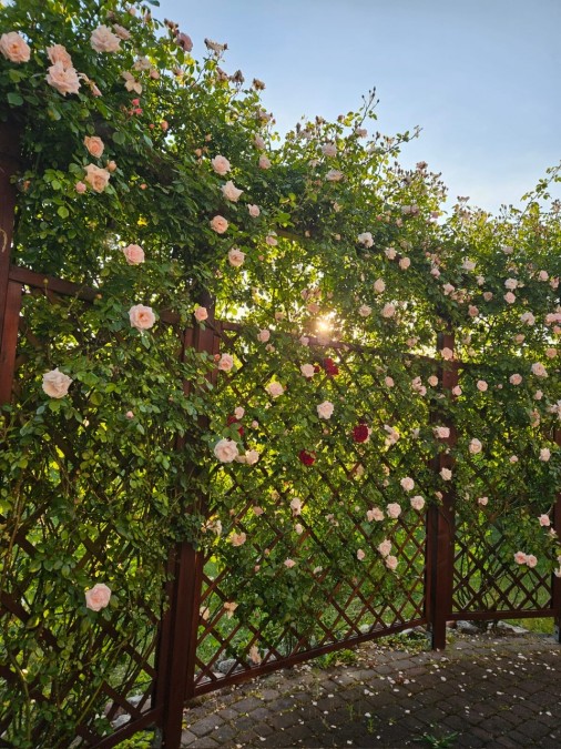 KLIMATYCZNY DOM  W POBLIŻU J.MIEDWIE (16)