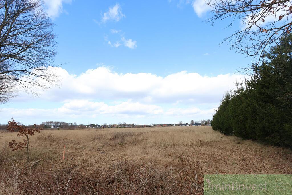 DZIAŁKA Z WARUNKAMI ZABUDOWY BIAŁUŃ (3)