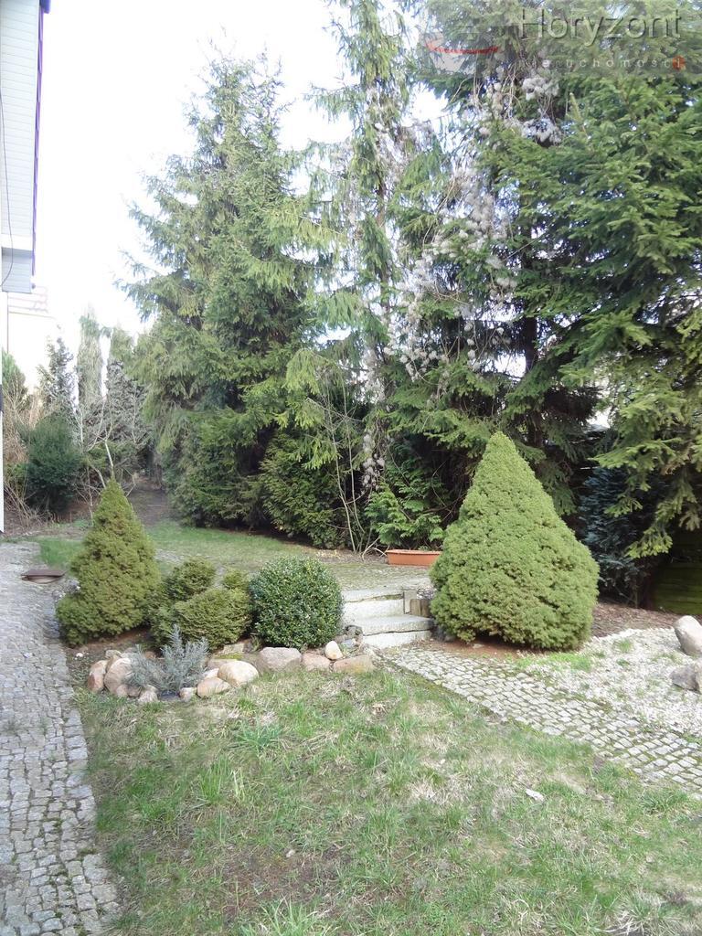 Dom 215m2, 2003r. Golęcin, odświeżony i umeblowany (17)