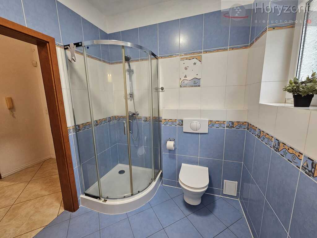 Dom 215m2, 2003r. Golęcin, odświeżony i umeblowany (7)