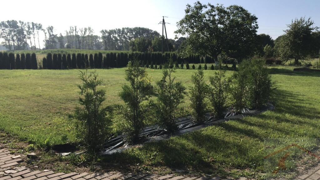 Kameralny apartamentowiec - idealna inwestycja (14)