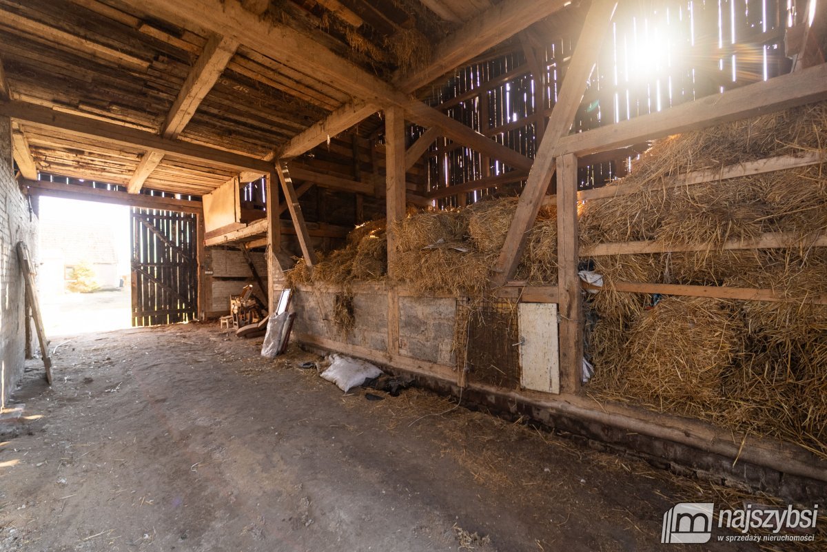 Kunowo - dom na dużej działce , łąka z dostępem do (15)