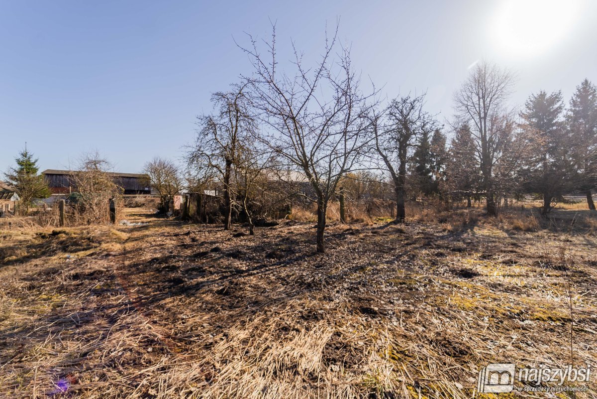 Kunowo - dom na dużej działce , łąka z dostępem do (29)