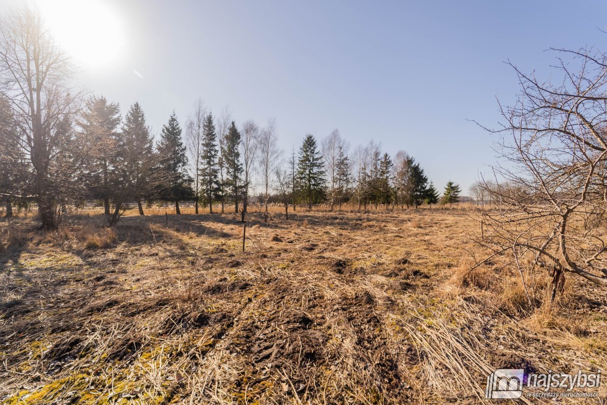 Kunowo - dom na dużej działce , łąka z dostępem do (30)