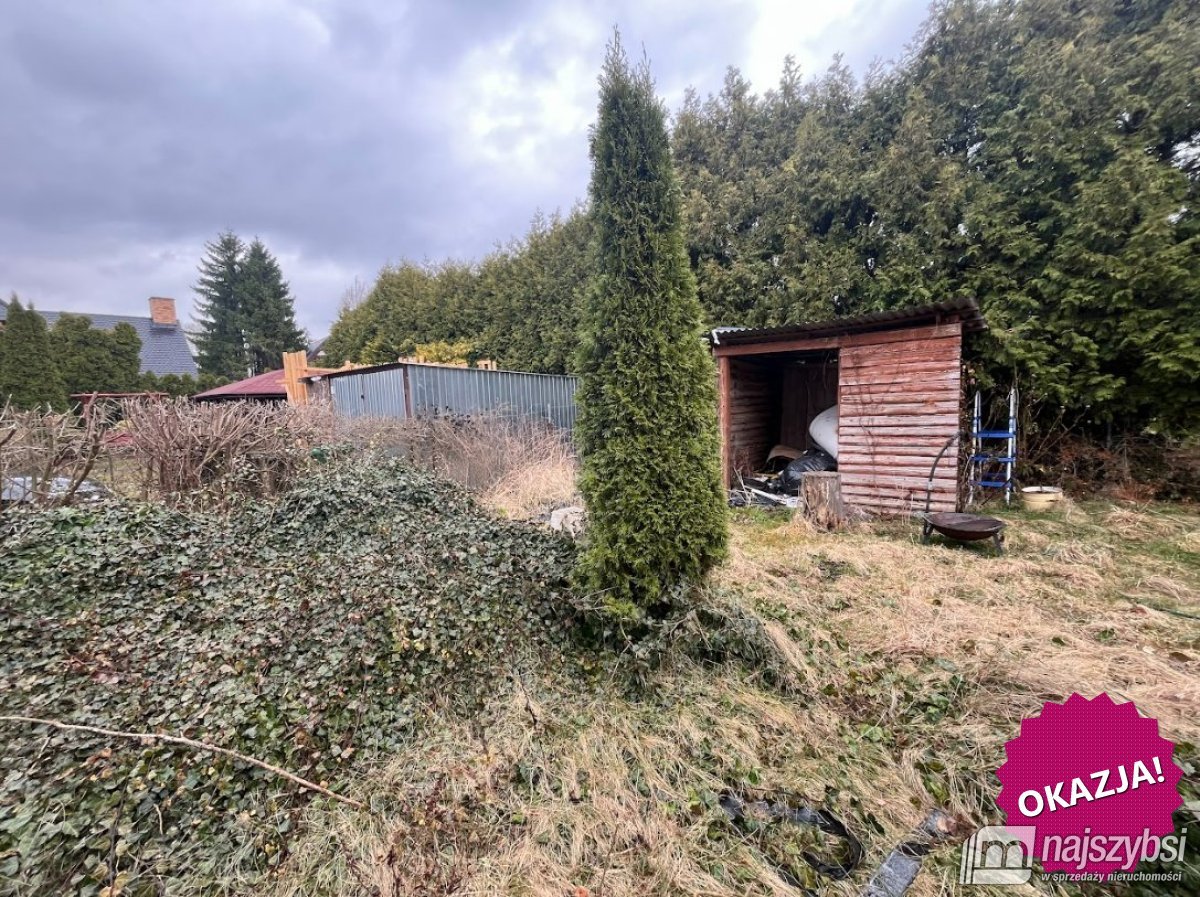 Białogard - bezczynszowe mieszkanie z ogrodem ! (8)