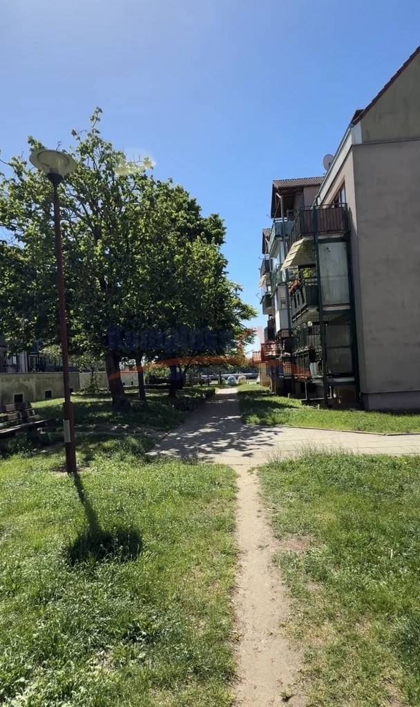 Pogodno/Świetna lokalizacja/Balkon (2)