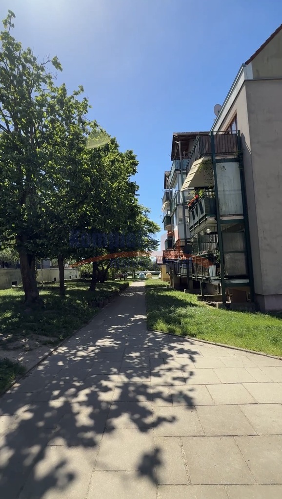 Pogodno/Świetna lokalizacja/Balkon (3)