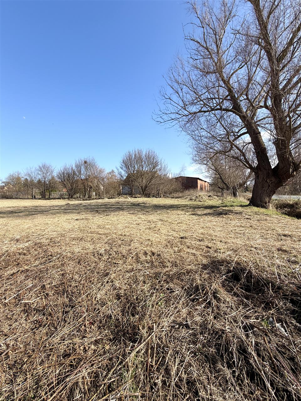 Działka - Koszalin Jamno (10)