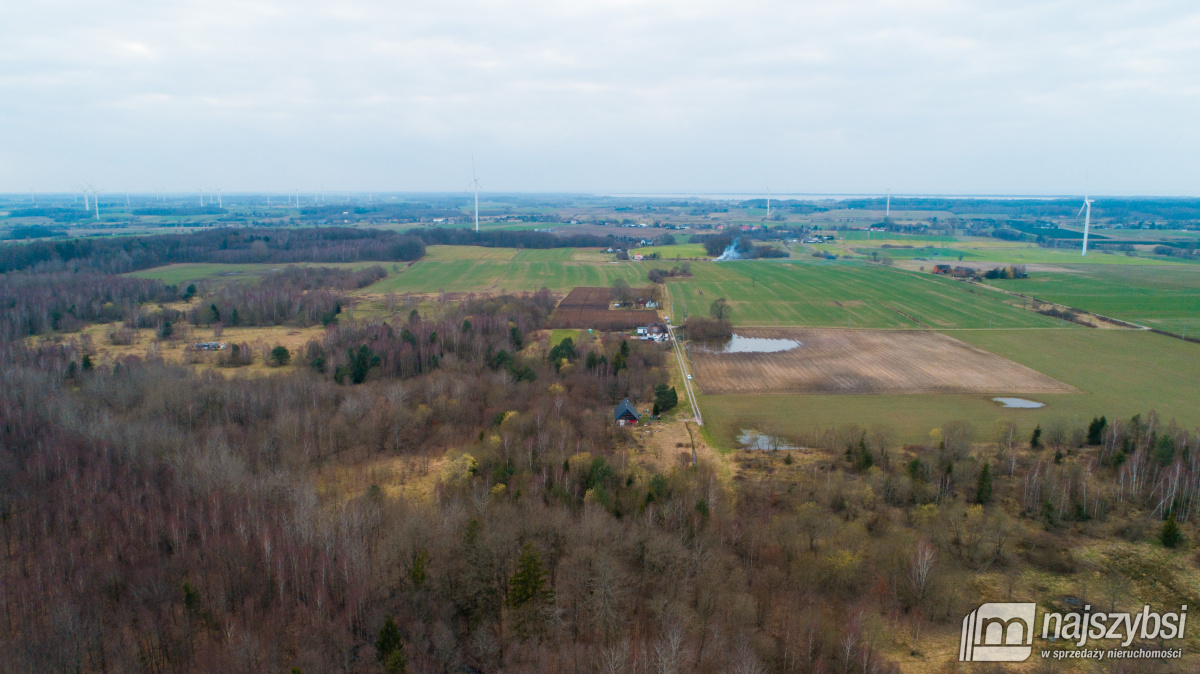 Jeżyczki - Działka 9100m2 - 8km od morza, 6km do j (11)