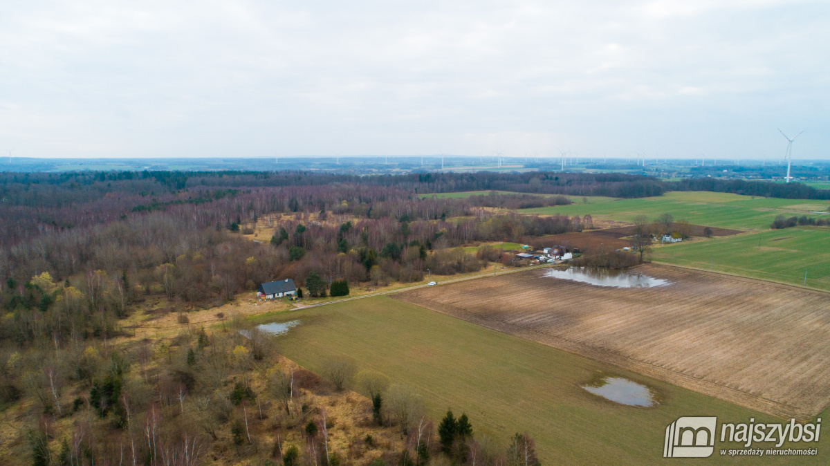 Jeżyczki - Działka 9100m2 - 8km od morza, 6km do j (12)