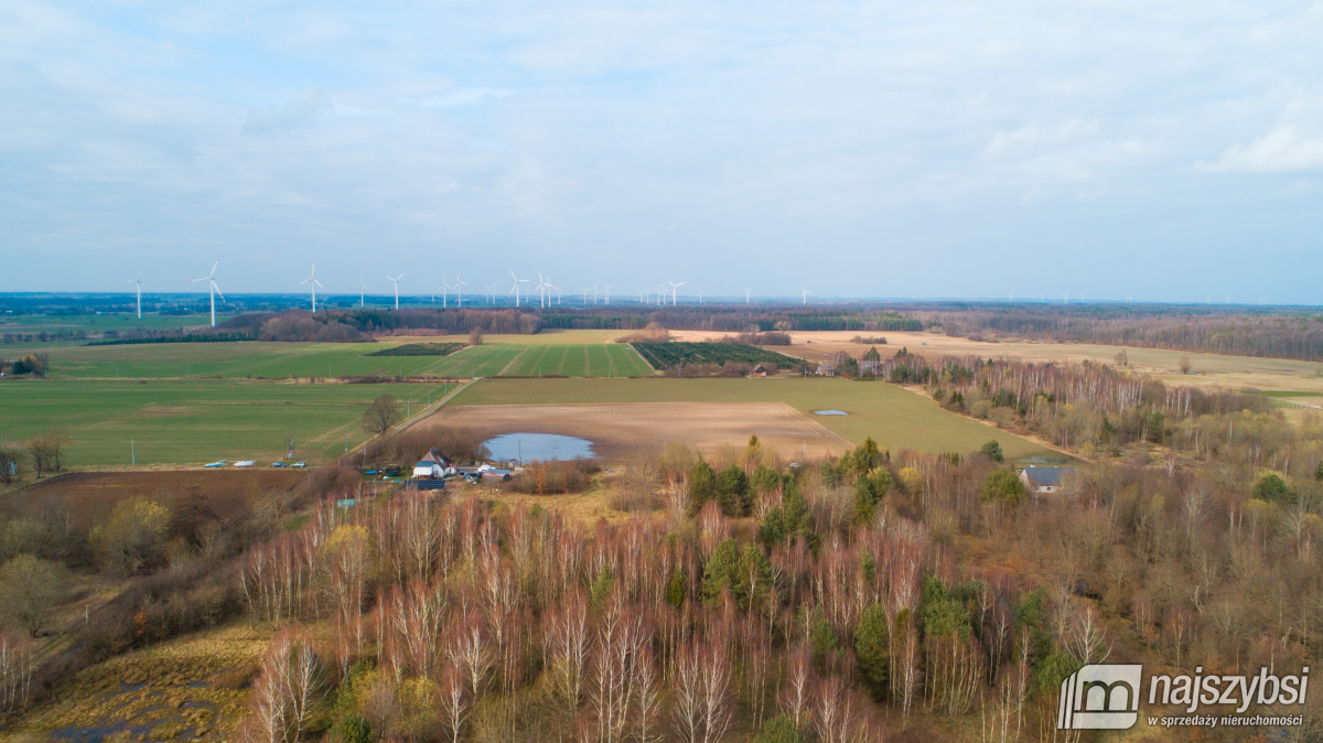 Jeżyczki - Działka 9100m2 - 8km od morza, 6km do j (4)