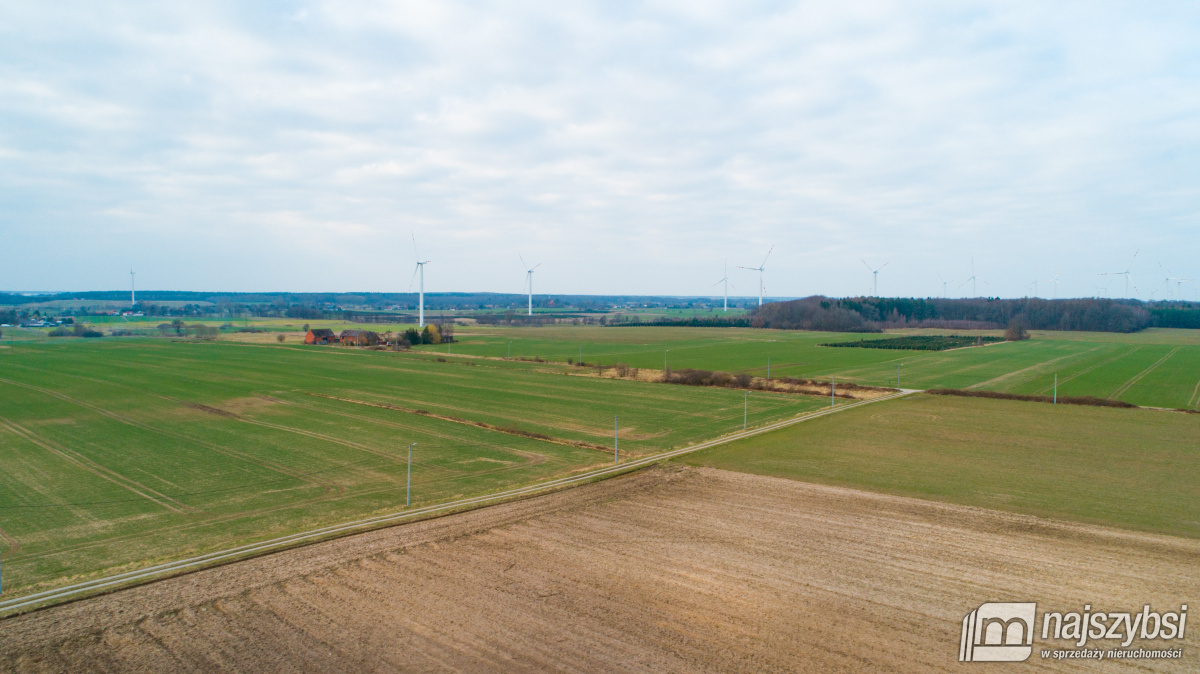 Jeżyczki - Działka 9100m2 - 8km od morza, 6km do j (6)