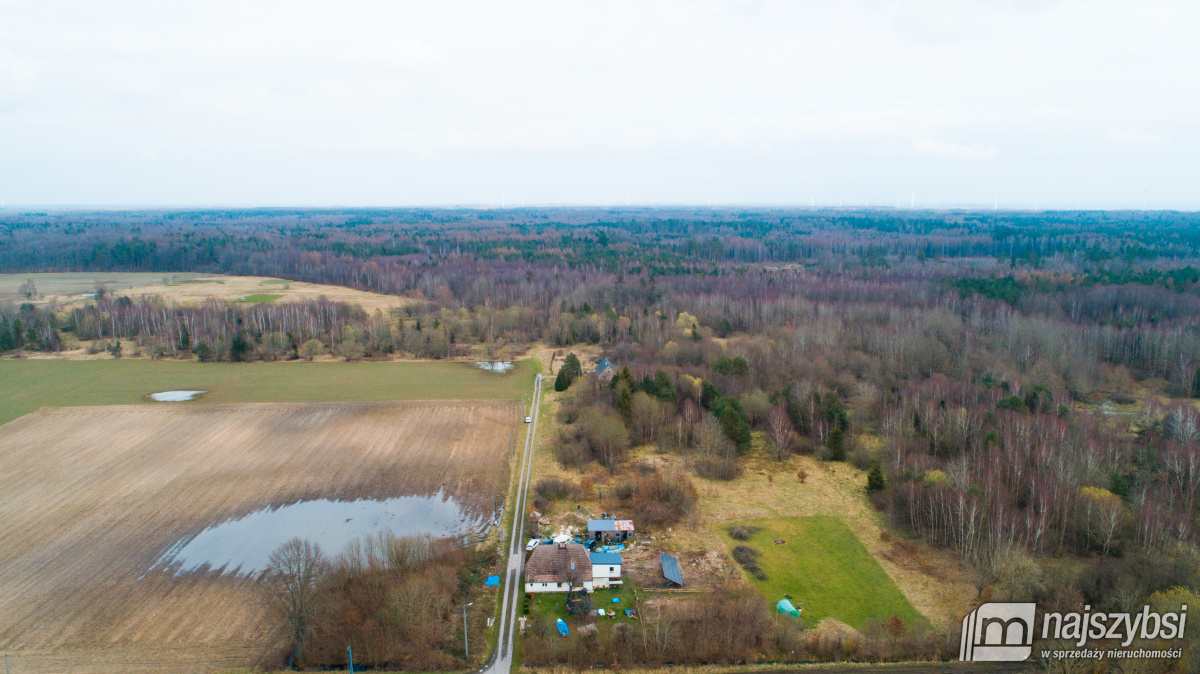Jeżyczki - Działka 9100m2 - 8km od morza, 6km do j (9)