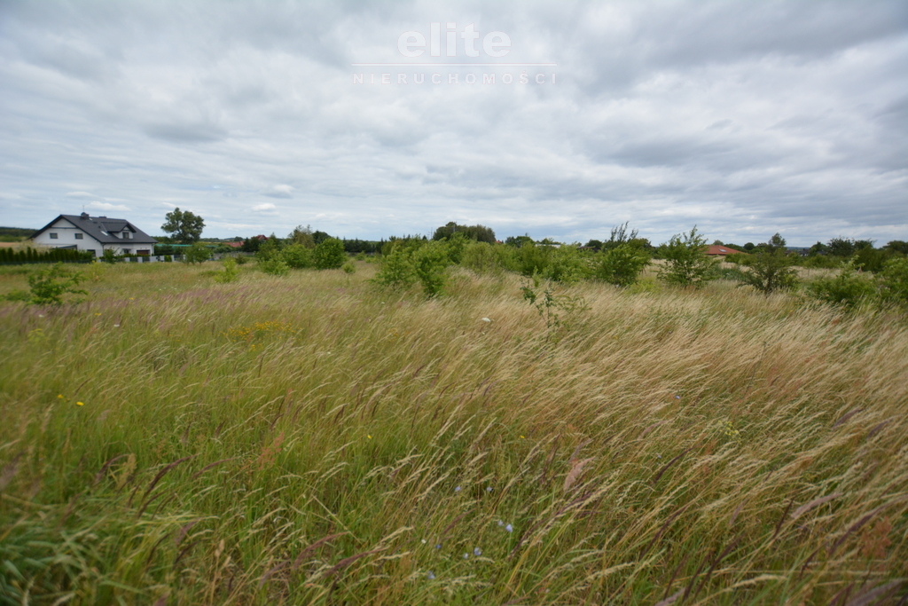 Rolna, 3,166 m2, Wąwelnica  (2)