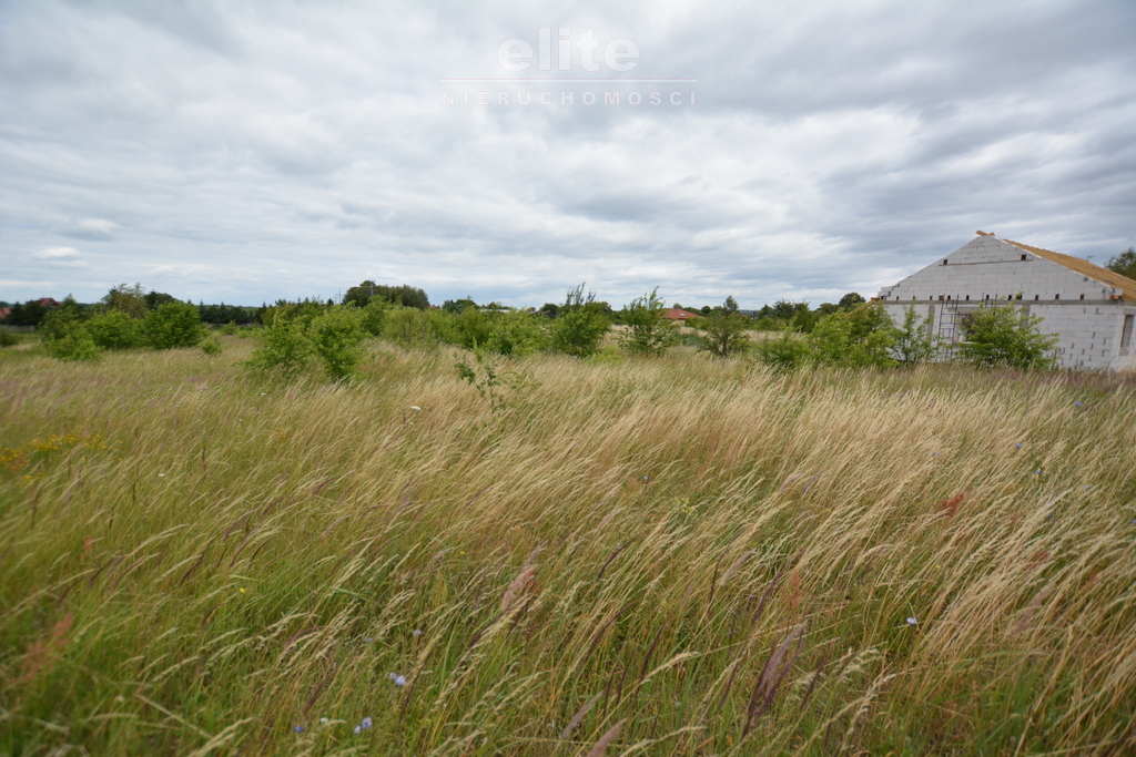 Rolna, 3,166 m2, Wąwelnica  (3)