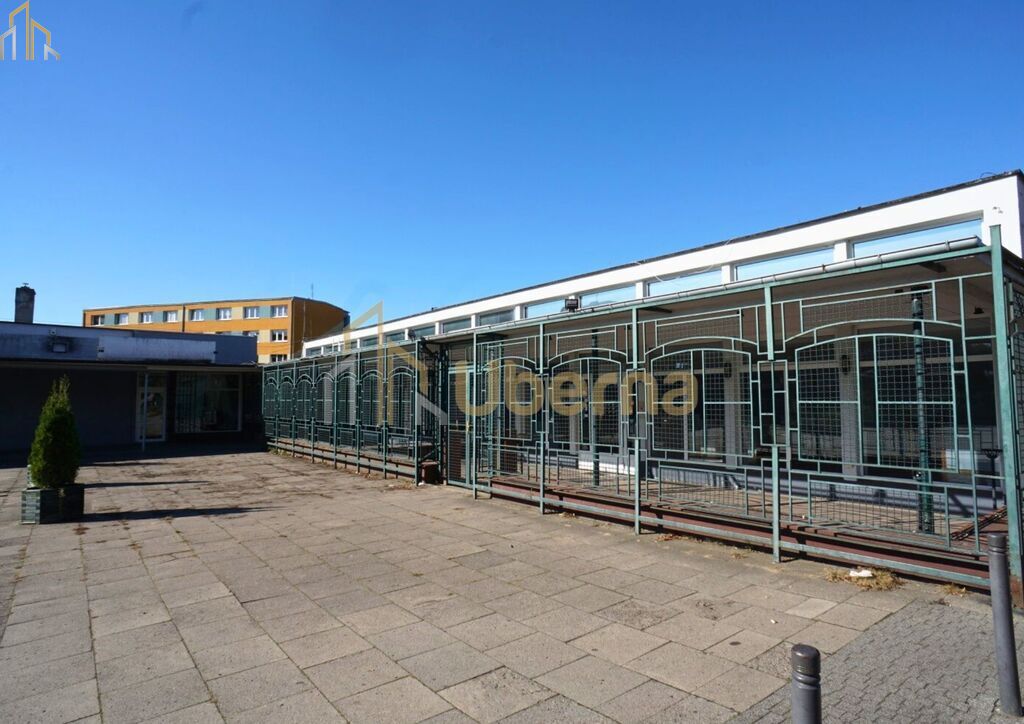 Lokal z witrynami z poziomu Goleniów Centrum (10)