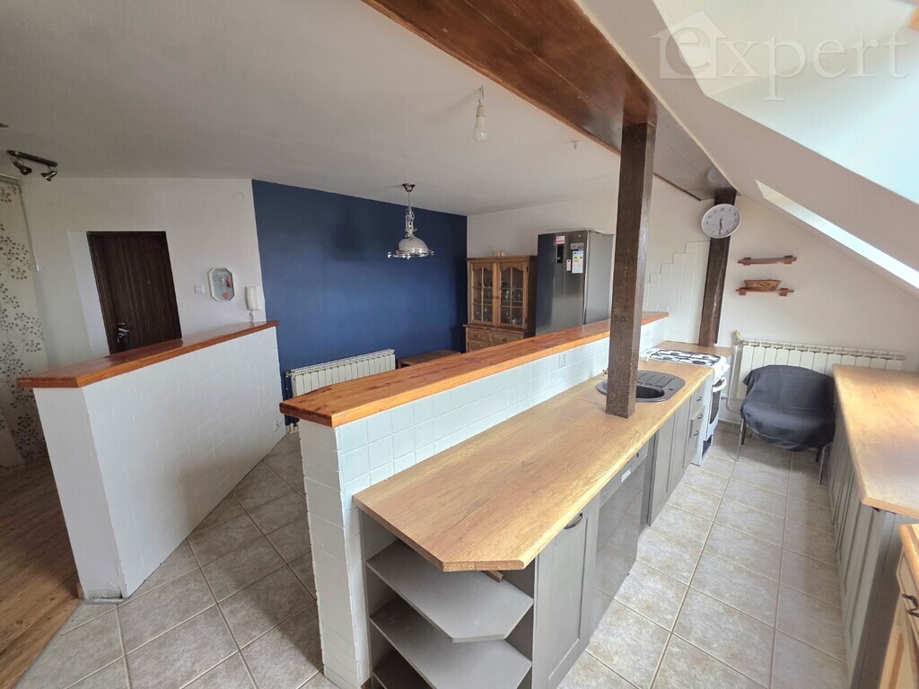 Plac Wolności - mieszkanie 100 m2 - dwa poziomy (16)