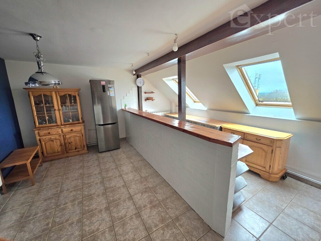 Plac Wolności - mieszkanie 100 m2 - dwa poziomy (18)