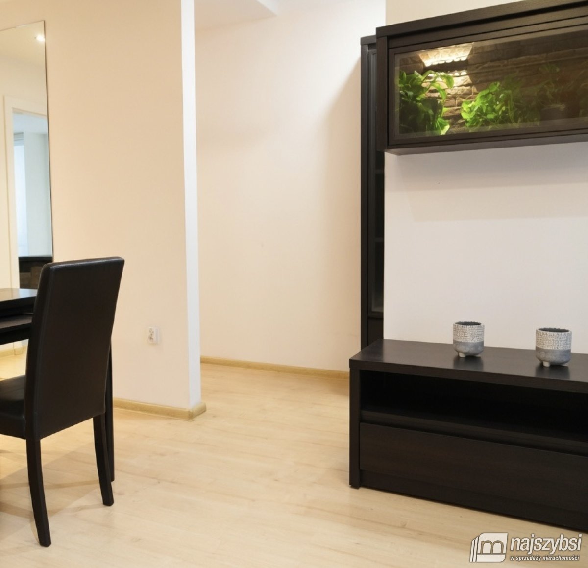 Szczecin- kawalerka w ścisłym centrum na wynajem (5)