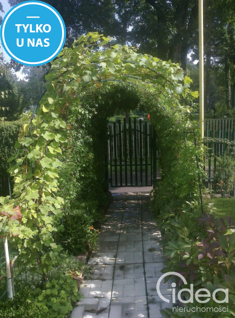 3 pok. mieszkanie na 1 piętrze domu, 70m2, Zdroje (1)