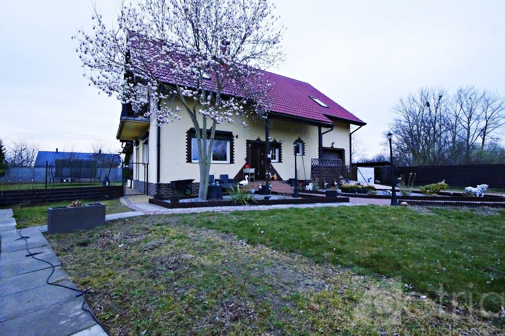 Dom 153 m2, działka 1455 m2, po remoncie - Darż (2)