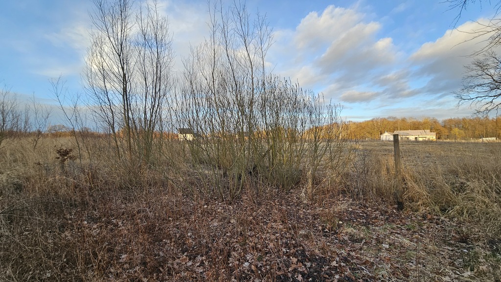 Spokój blisko morza - działka z MPZP, Stary Borek (5)