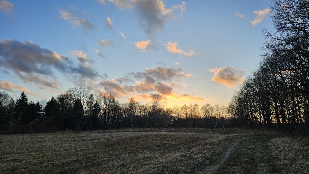 Spokój blisko morza - działka z MPZP, Stary Borek (7)