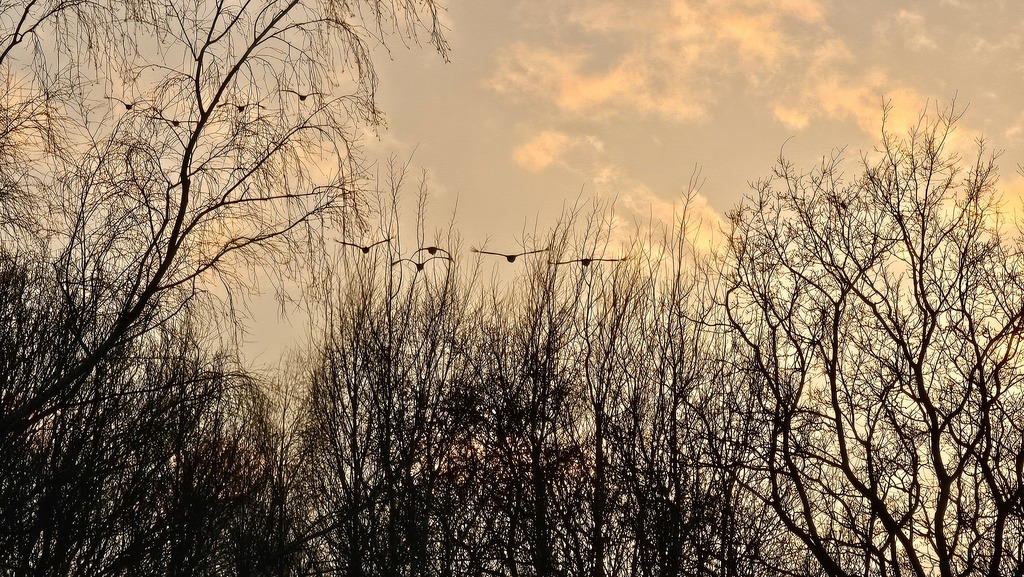 Spokój blisko morza - działka z MPZP, Stary Borek (9)