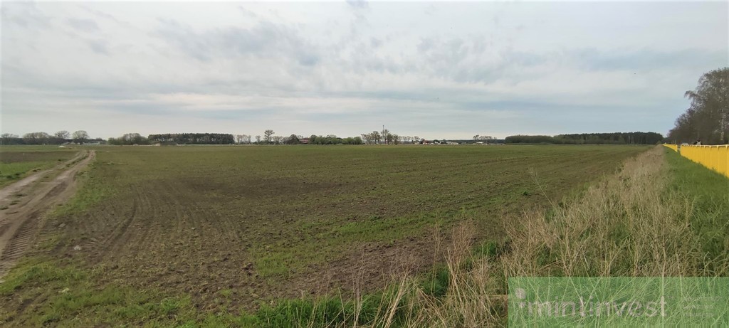 NOWA CENA Działka inwestycyjna Lubczyna NOWA CENA (1)