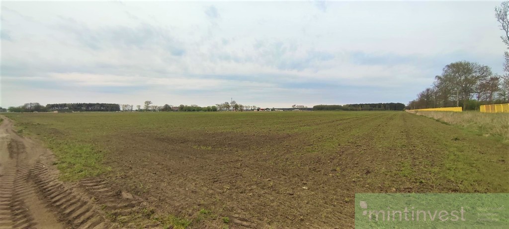 NOWA CENA Działka inwestycyjna Lubczyna NOWA CENA (2)