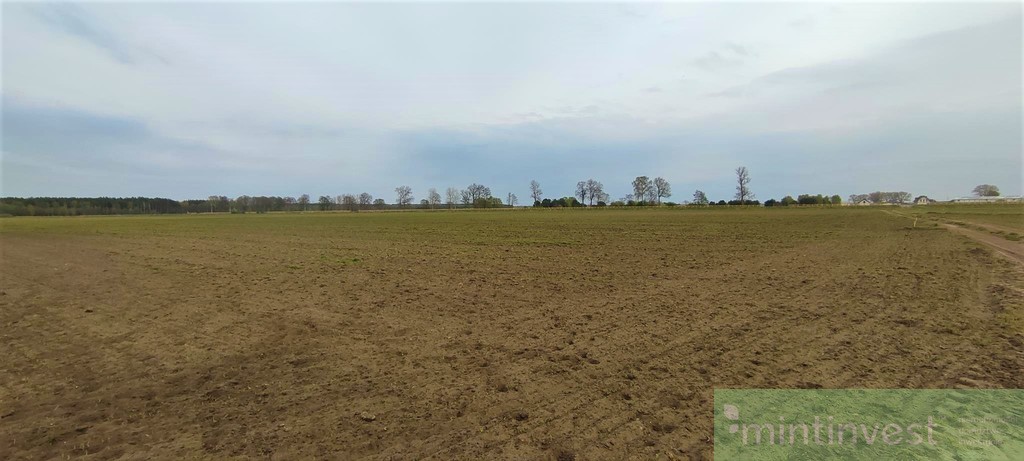 NOWA CENA Działka inwestycyjna Lubczyna NOWA CENA (3)