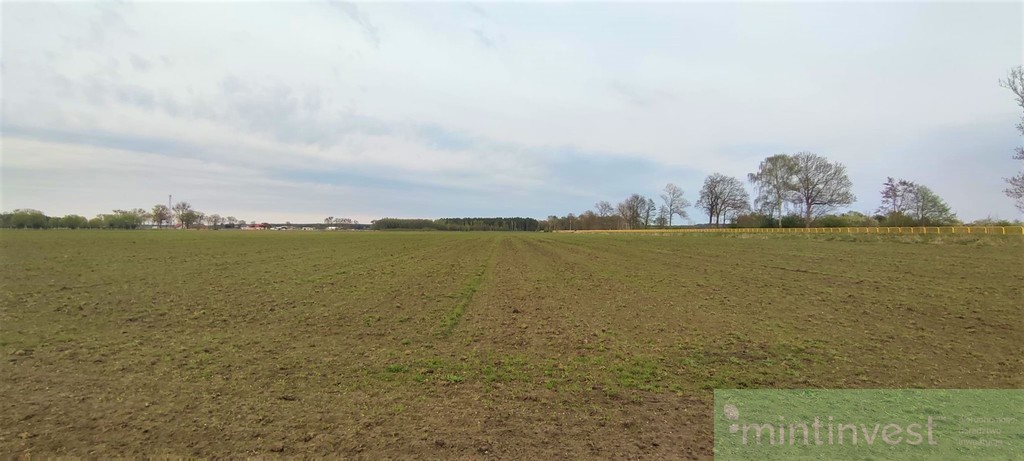 NOWA CENA Działka inwestycyjna Lubczyna NOWA CENA (5)