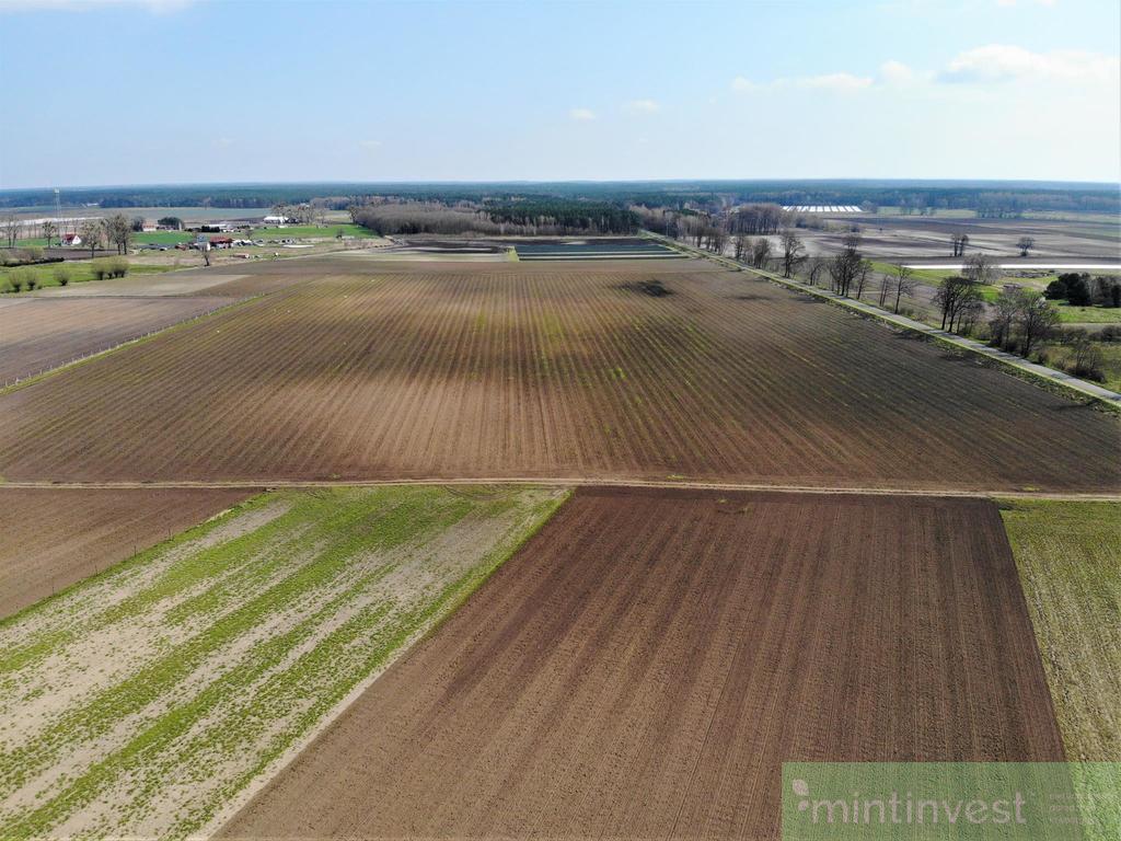 NOWA CENA Działka inwestycyjna Lubczyna NOWA CENA (1)