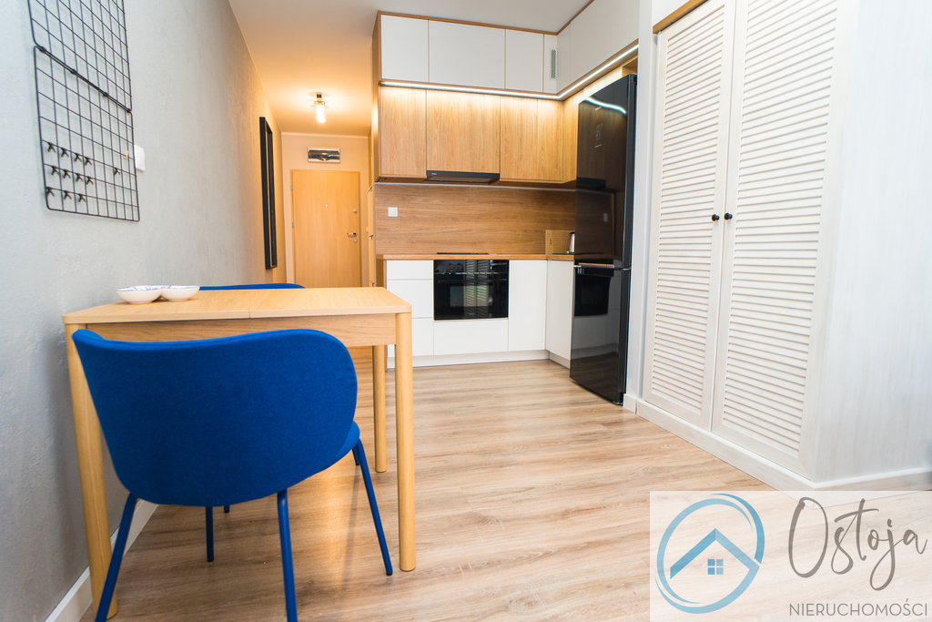 Nowe Miasto - kawalerka 31m2, wynajem (17)