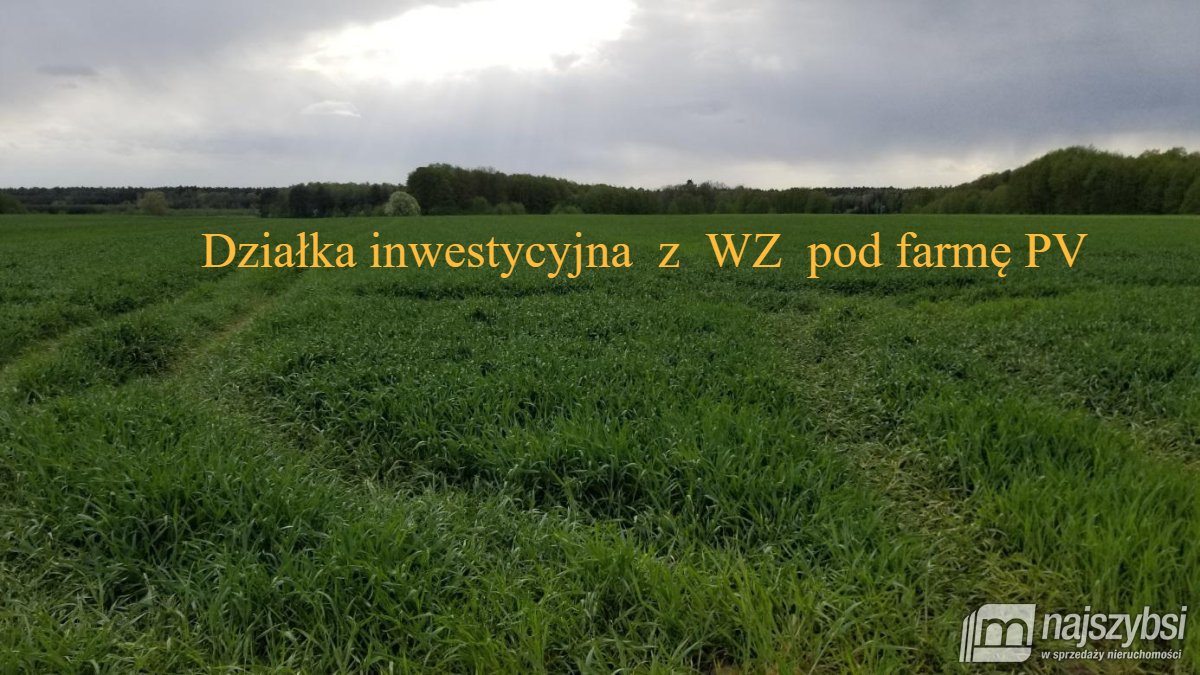 Przemocze- działka, inwestycyjna 2,5 HA  (1)