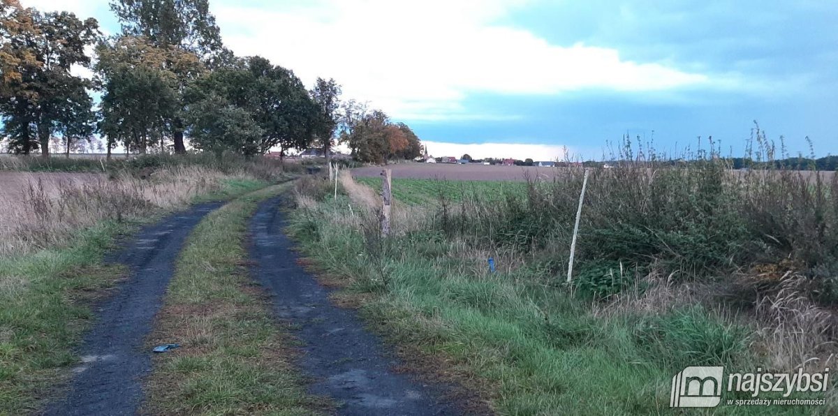 Przemocze- działka, inwestycyjna 2,5 HA  (2)