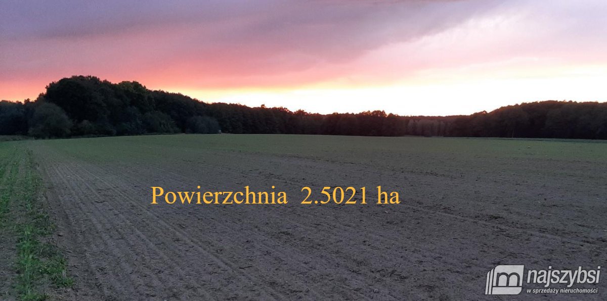 Przemocze- działka, inwestycyjna 2,5 HA  (4)