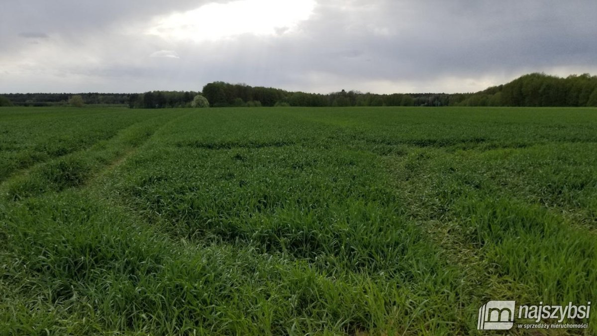 Przemocze- działka, inwestycyjna 2,5 HA  (6)