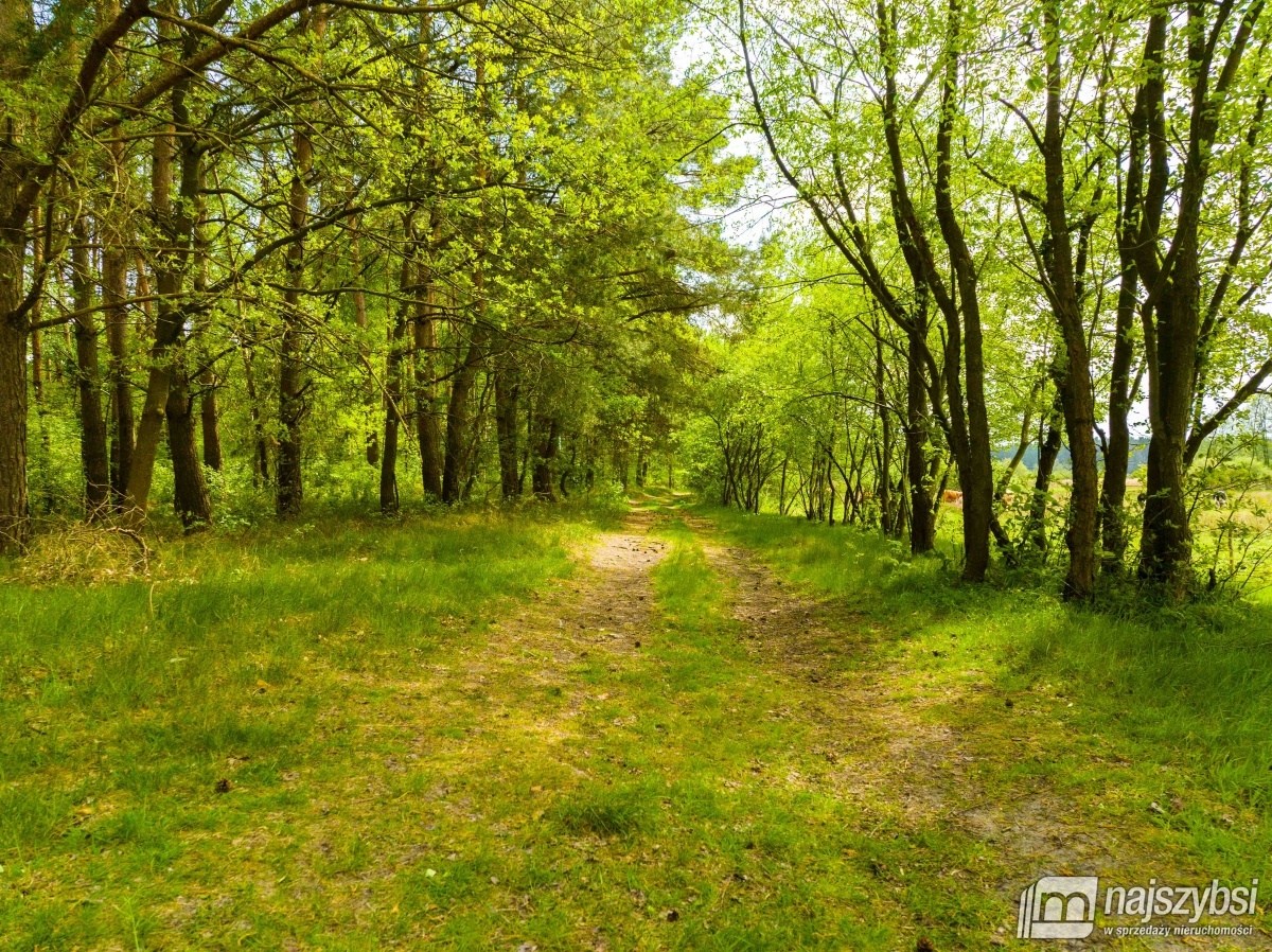 Przybiernów- Działka 0,7637 ha blisko jeziora. WZ (15)